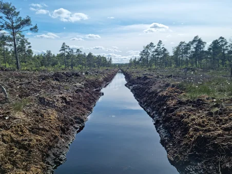 Dike i mossen vid Grimsås, gjord för torvbrytning av Neova.