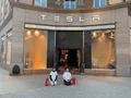 Activists from Återställ Våtmarker kneeling in front of the Tesla store in Stockholm after the action.