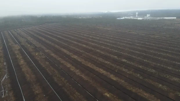 Drönarebild av utdikade mosse Grimsås