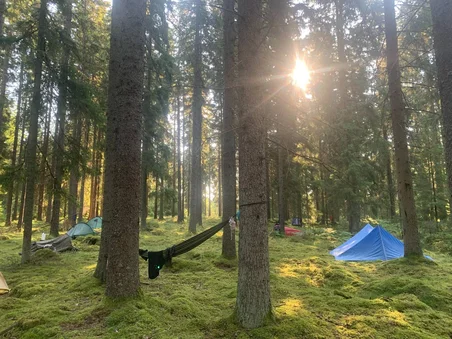 Tältläger i skogen. Hängmattor i träden.