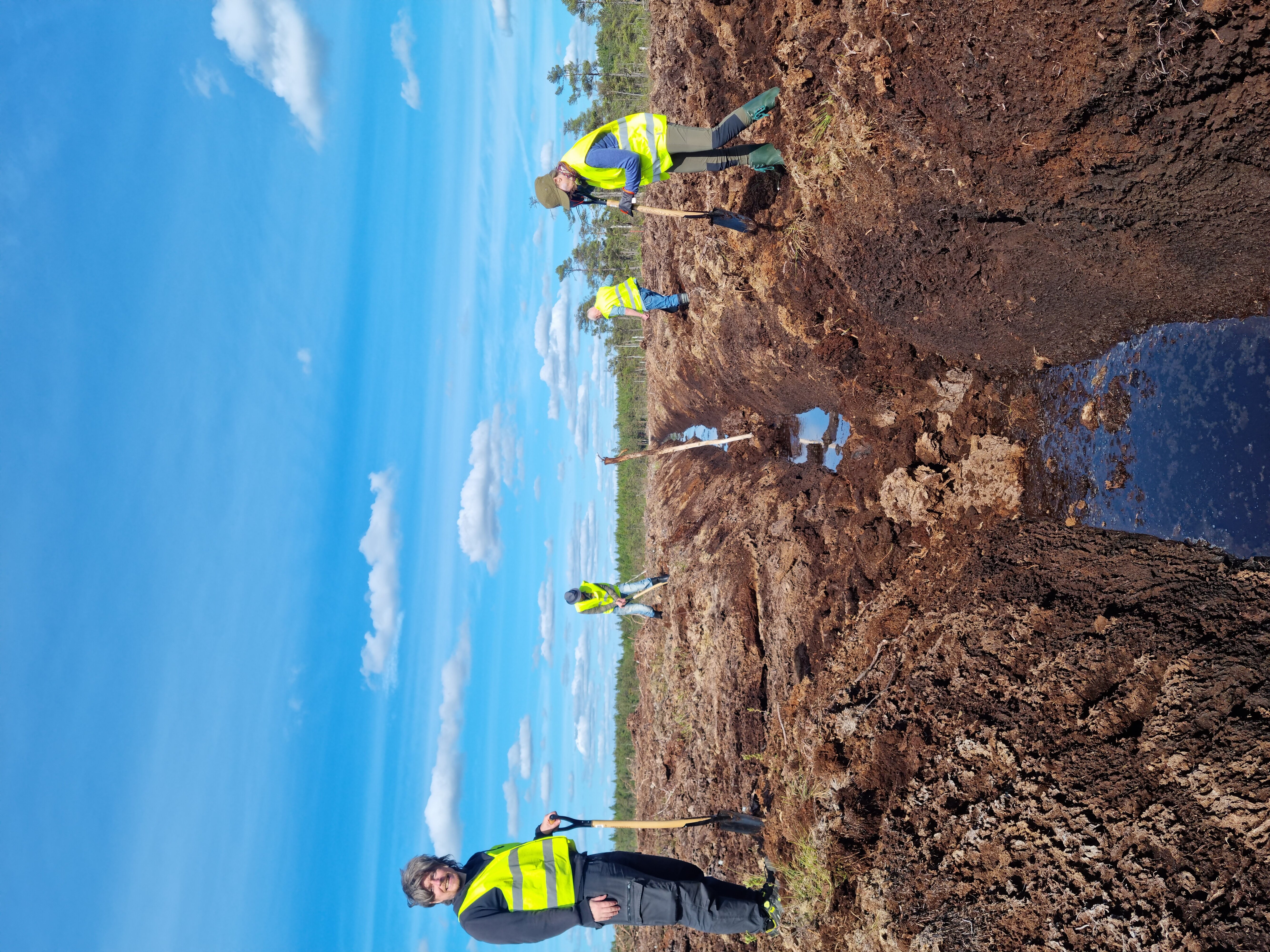 People are digging a ditch from Neova at Grimsås mosse again.